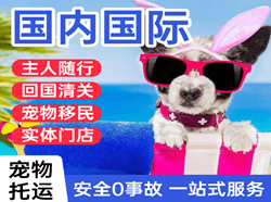 中川机场邮寄国际宠物托运 【国